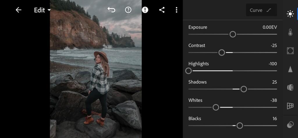 02 Dark Muted Lightroom Preset