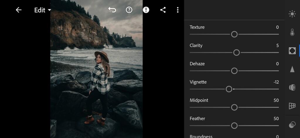 18 Dark Muted Lightroom Preset