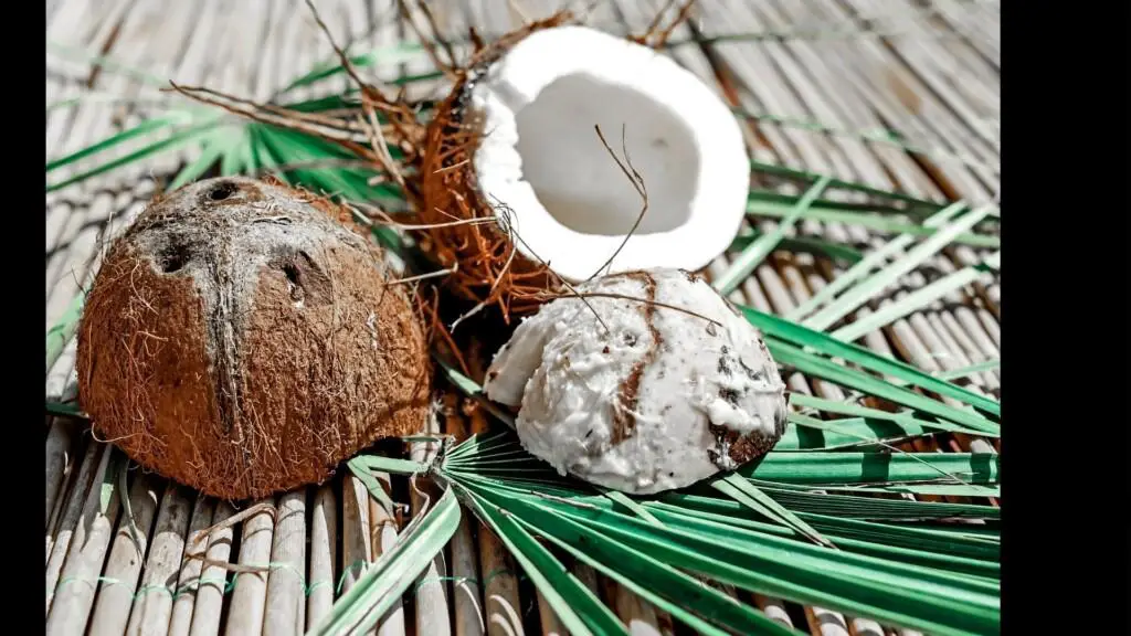 15 Coconut