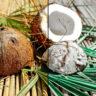 Coconut | Free Lightroom Preset