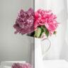 Flowers | Free Lightroom Preset