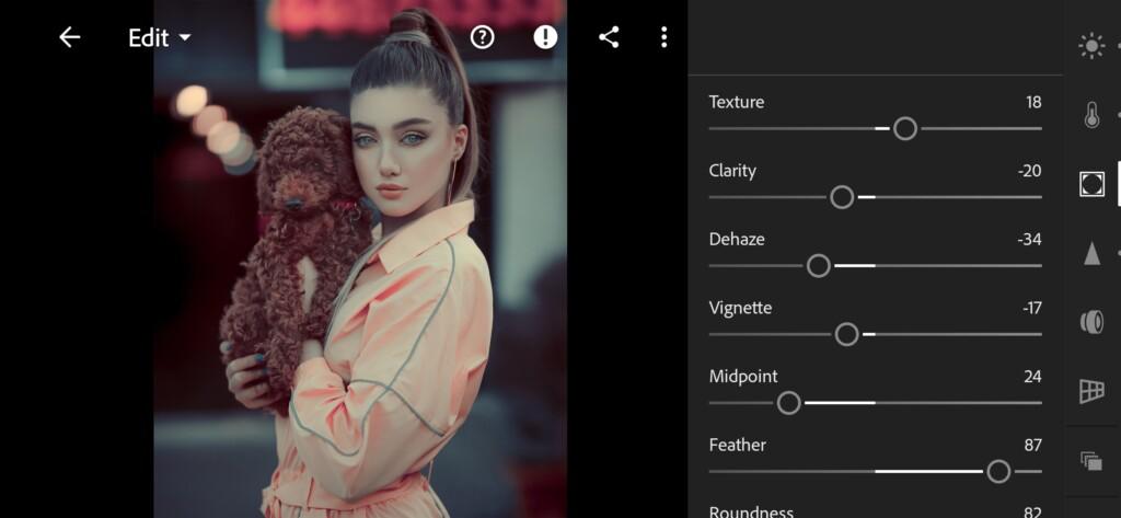 16 Special Lightroom Preset